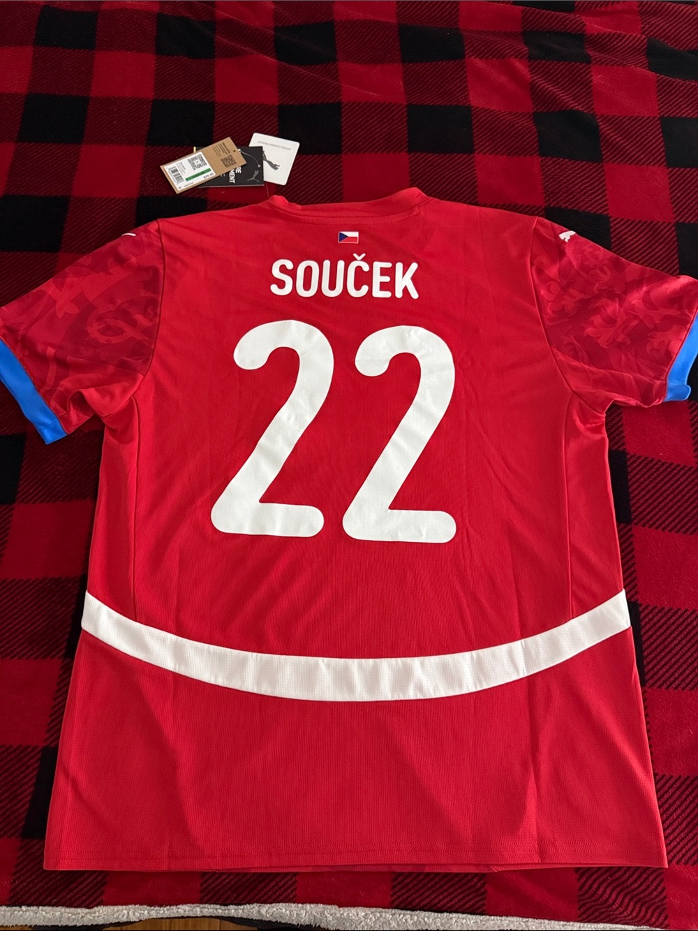 Czech Republic 🇨🇿 #22 Tomas Soucek 2024-25 Puma Home Euro Nations League Jersey